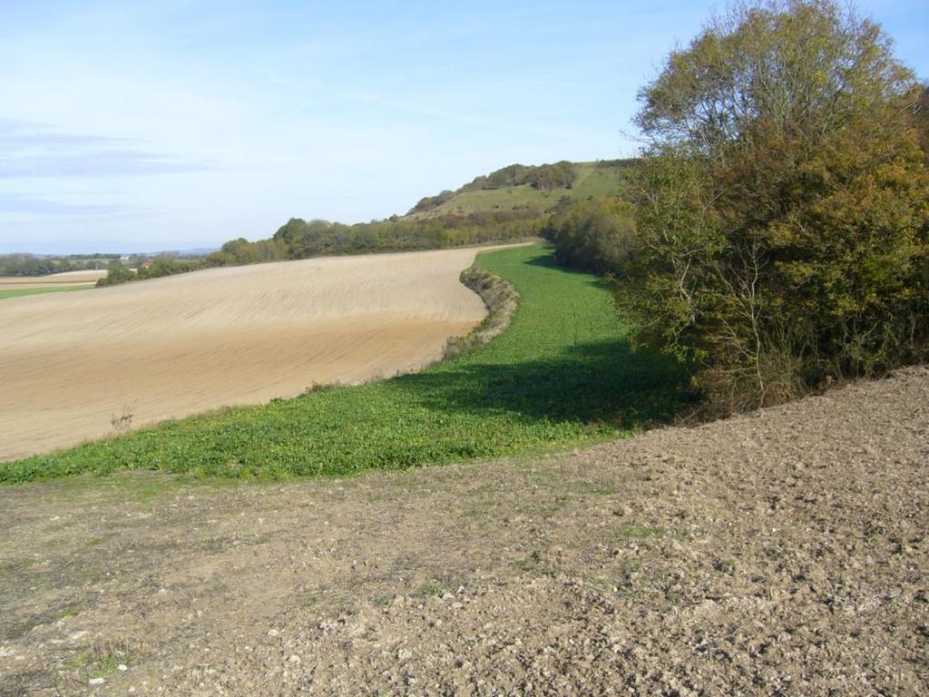Les Collines Du Breuil Samer Exterior photo