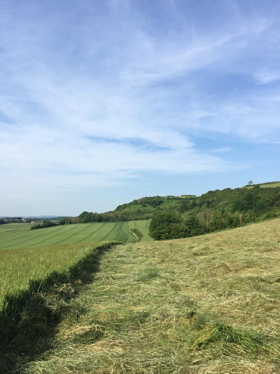 Les Collines Du Breuil Samer Exterior photo
